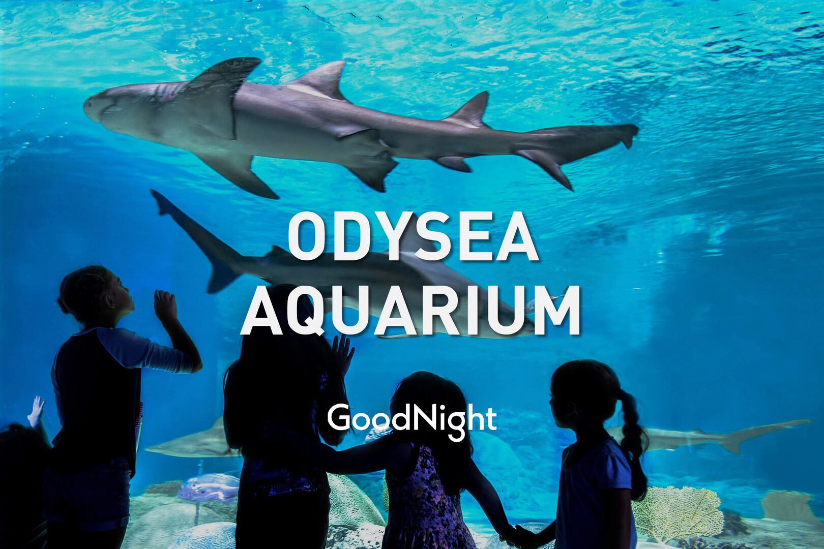 20 mins to Odysea Aquarium