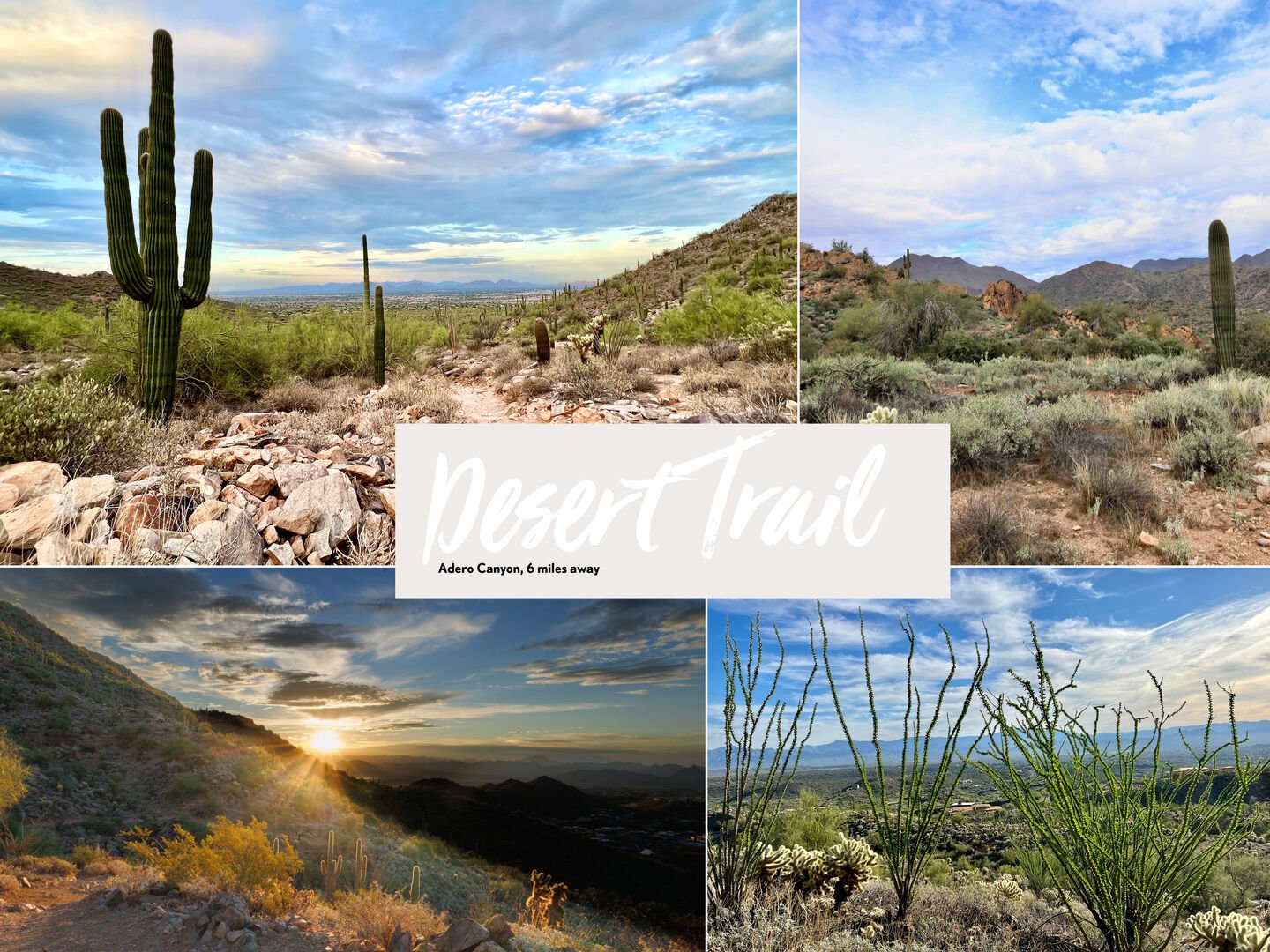 12 mins to Adero Canyons. Great Hiking Trails to experience AZ wildlife and great weather!