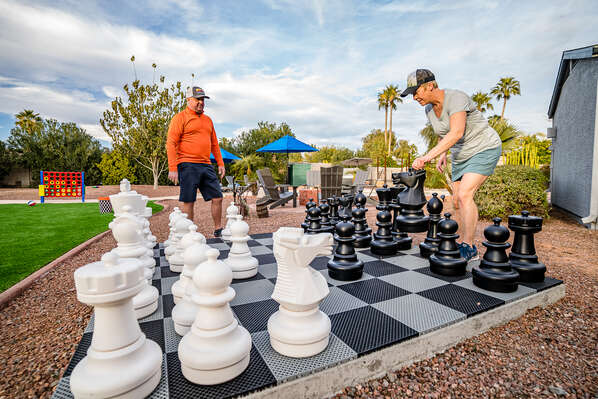 Life-size chess board