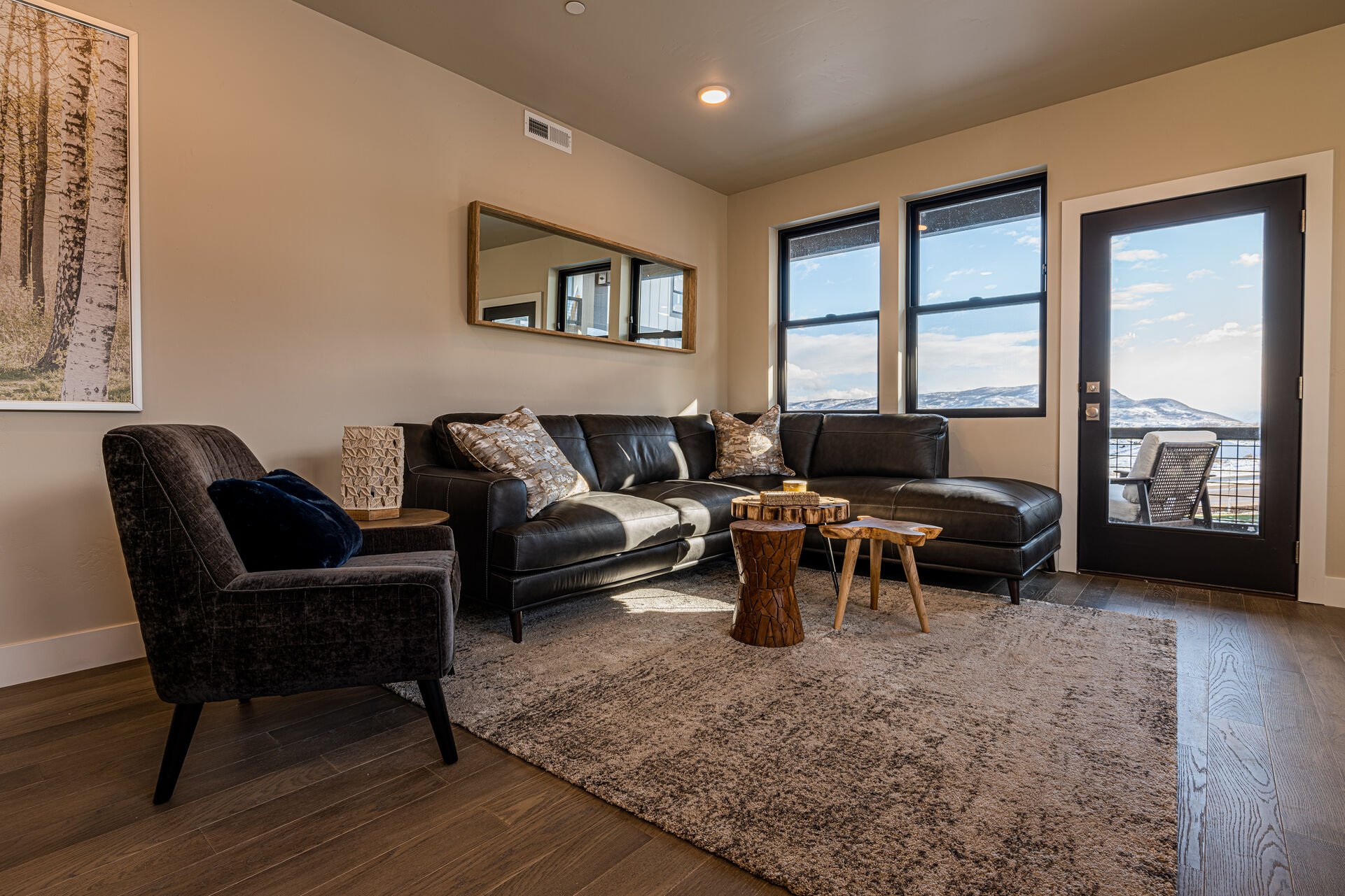 Living Room and Balcony Access