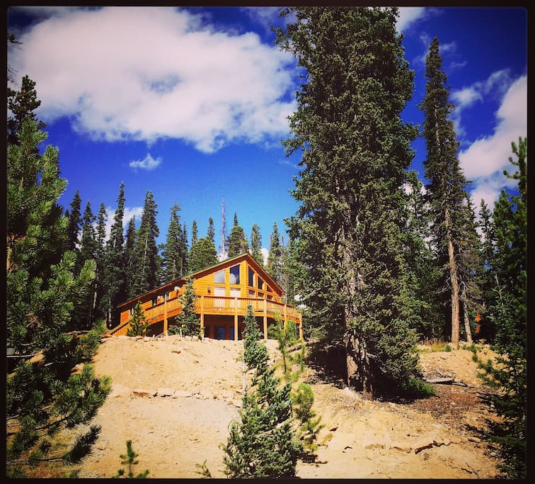 Hiking and biking trails surround the cabin.  Your kids and pets will love it!