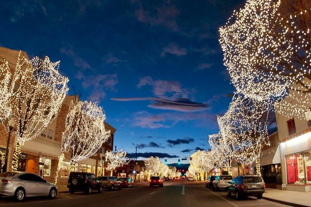Main Street is lit up with amazing white lights all year long.