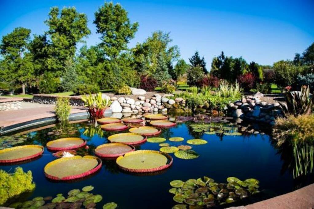 The ponds at Hudson Gardens are spectacular!