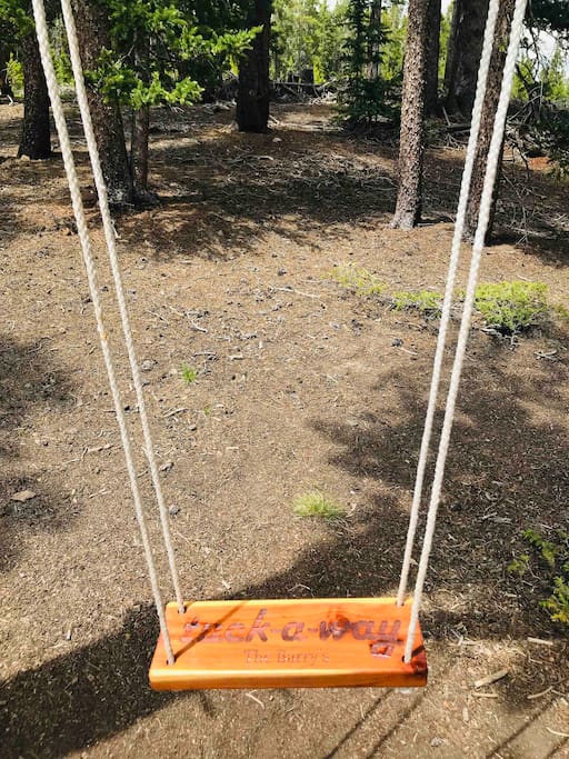 Our family swing for all to enjoy!