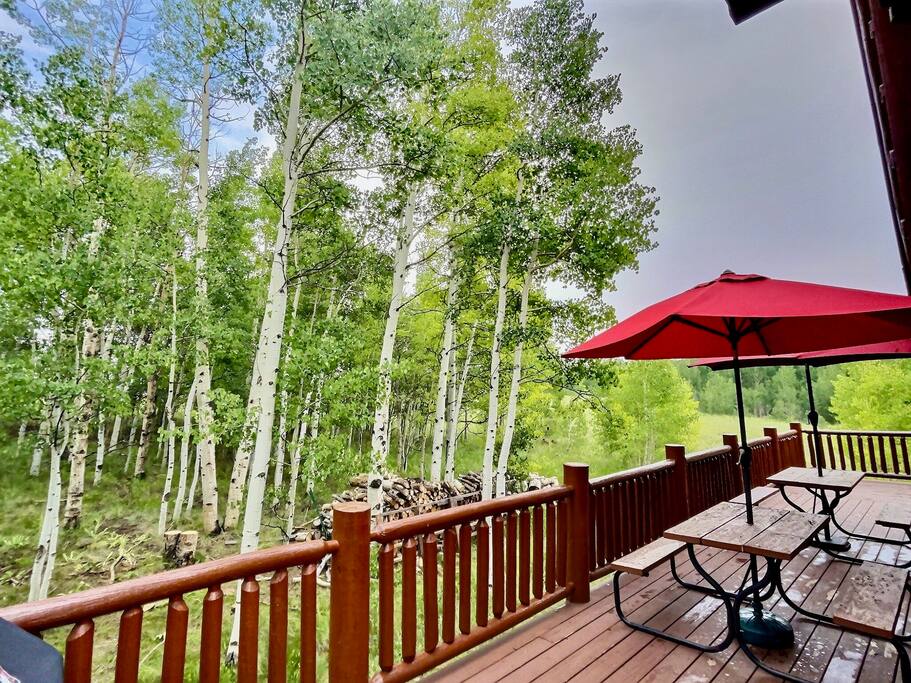 Did we mention the incredible aspen trees that surround the cabin?