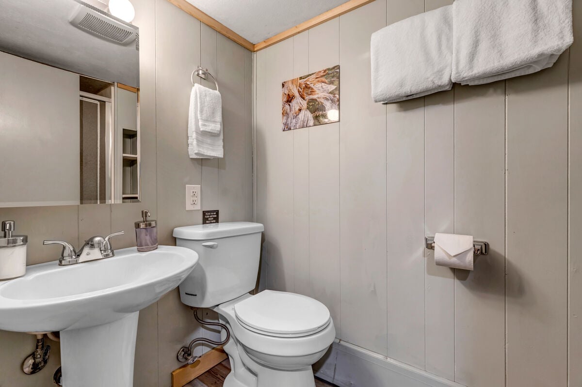 Downstairs bathroom with shower. Each bathroom has shampoo, conditioner, body wash, plush towels, 3 ply tp and more!