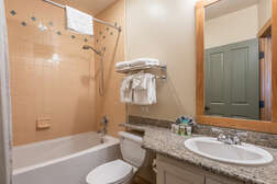 Guest Bathroom - Shower and Tub