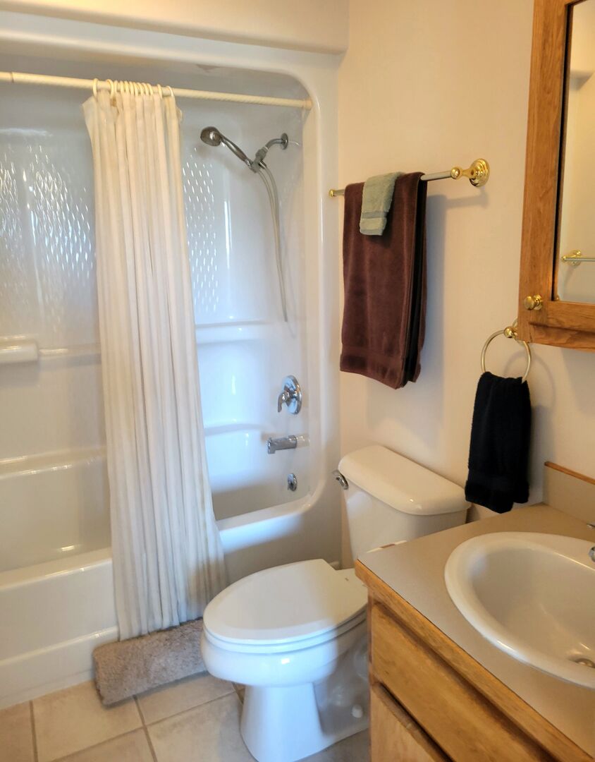 Bathroom with tub/shower combo attached to queen bedroom