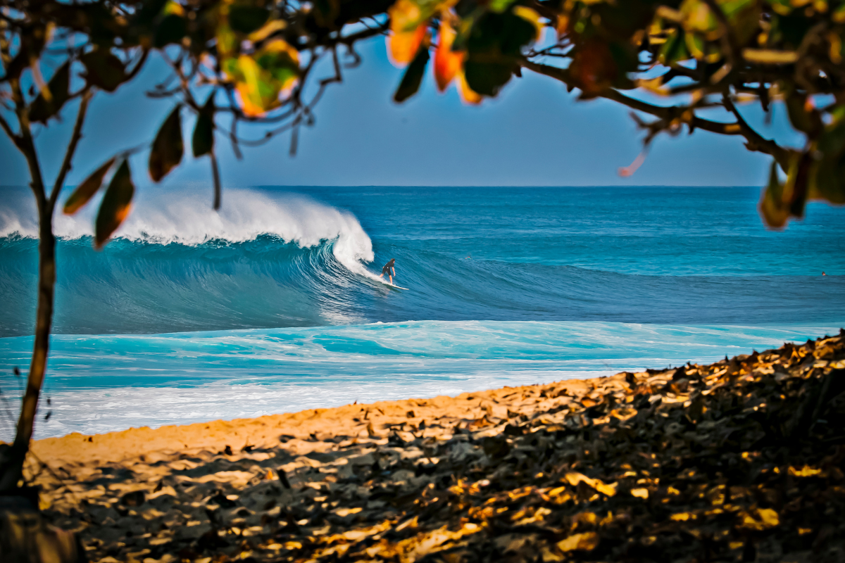 Have fun surfing!