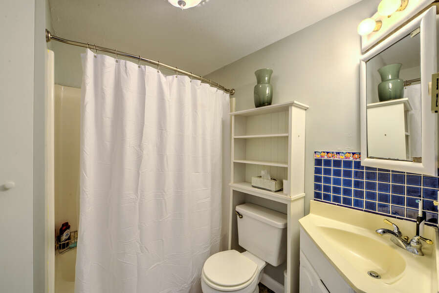 Bathroom - Full/Shower/Tub Combo