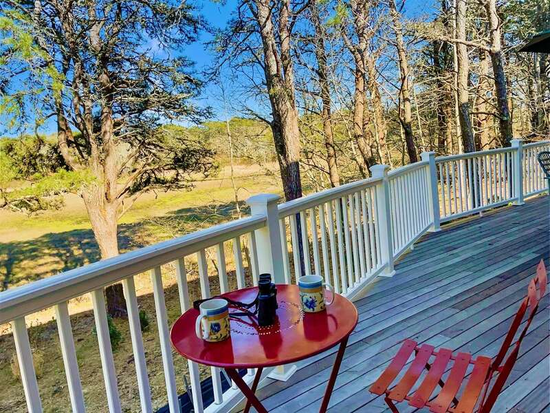 Enjoy your morning cup of coffee and watch the birds fly over the conservation land outside the sliding glass door - 85 Cockle Drive South Chatham Cape Cod - Ides of Marsh - New England Vacation Rentals