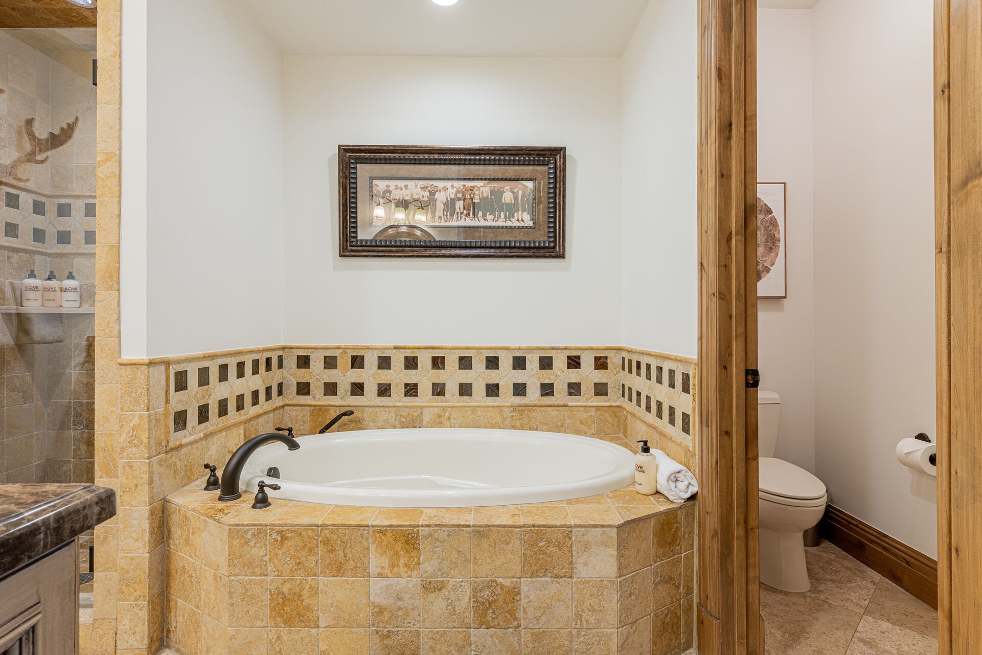 Master bath with dual sinks, a jetted tub, and separate shower