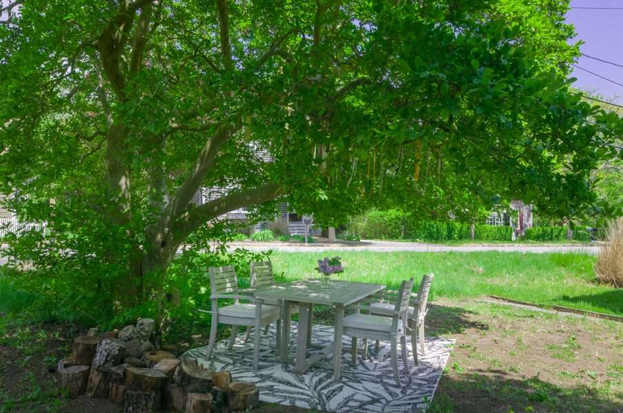 Outdoor seating under a beautiful tree for shade to enjoy/ .