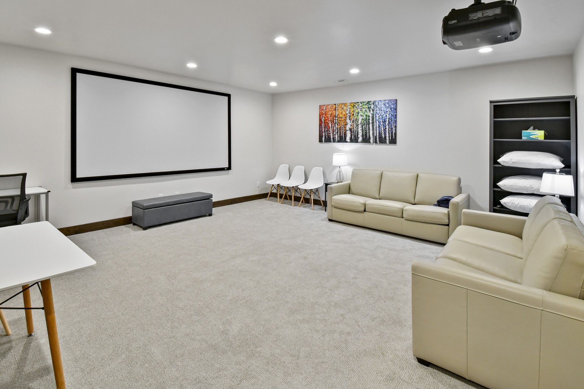 Downstairs Theater room with professional projector