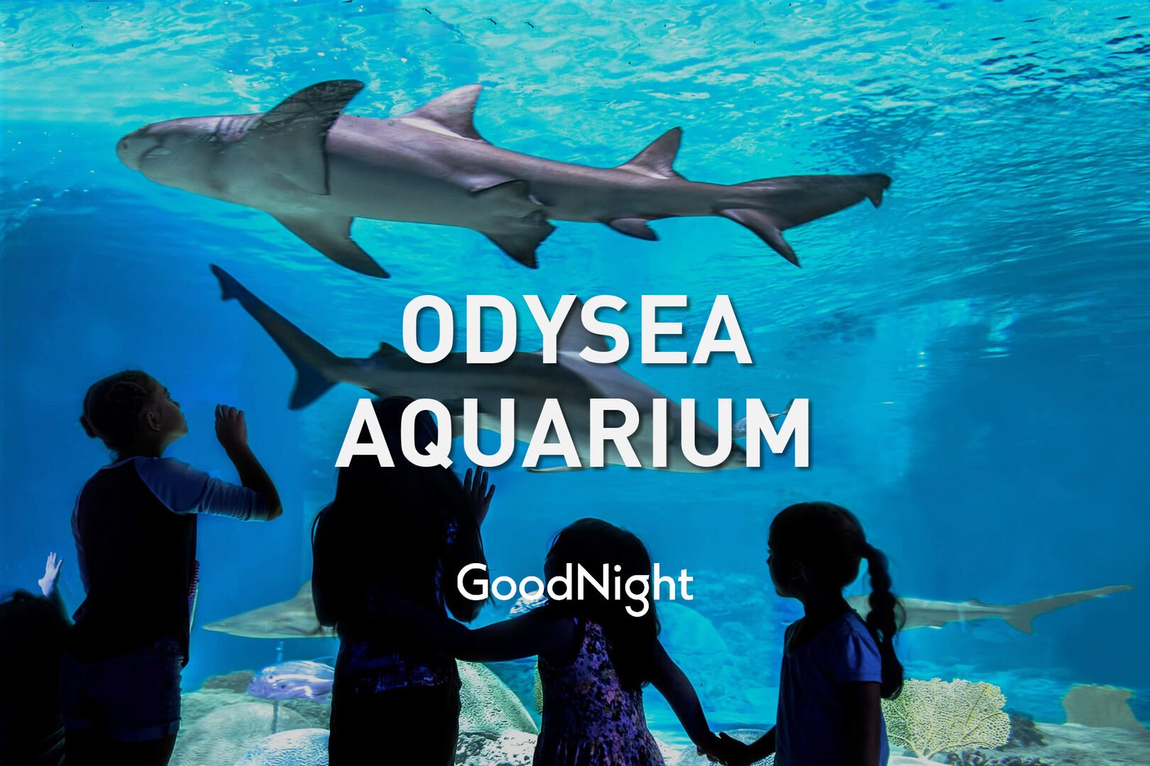 7 mins: OdySea Aquarium