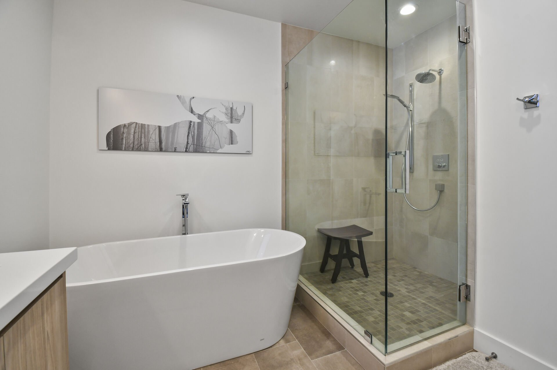 Master bathroom ensuite with tub and stand up shower