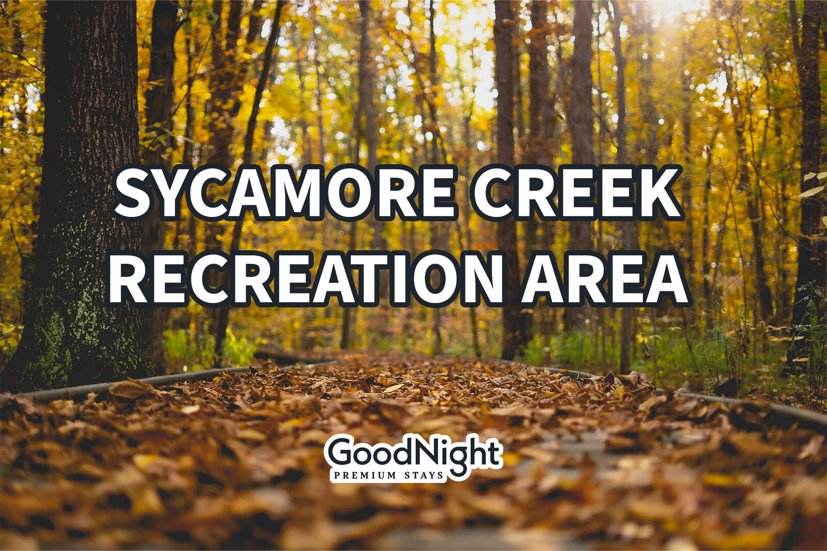 2 mins: Sycamore Creek Recreation Area - park, playground, & boat ramp