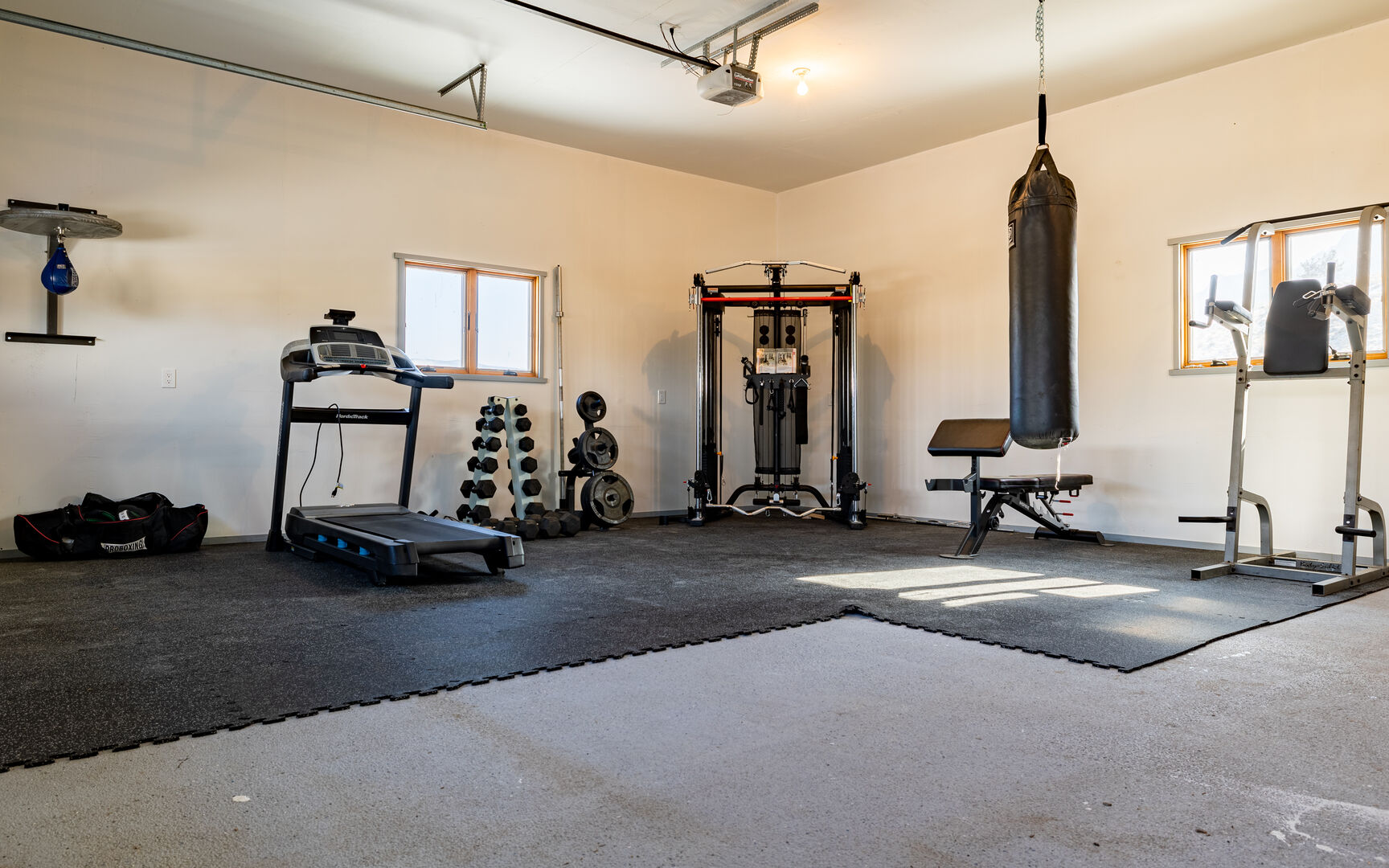 Gym area with freeweights, cardio equipment in main house garage