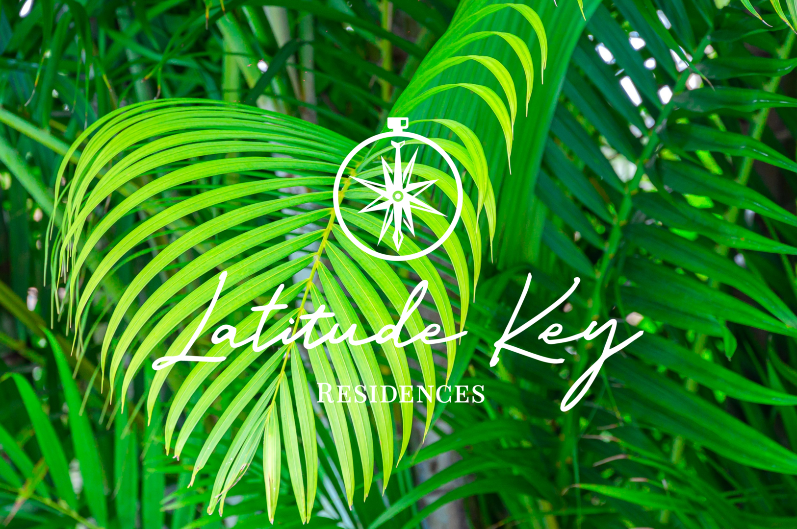Latitude Key - Curated Vacation Properties
Enjoy a stress free holiday.