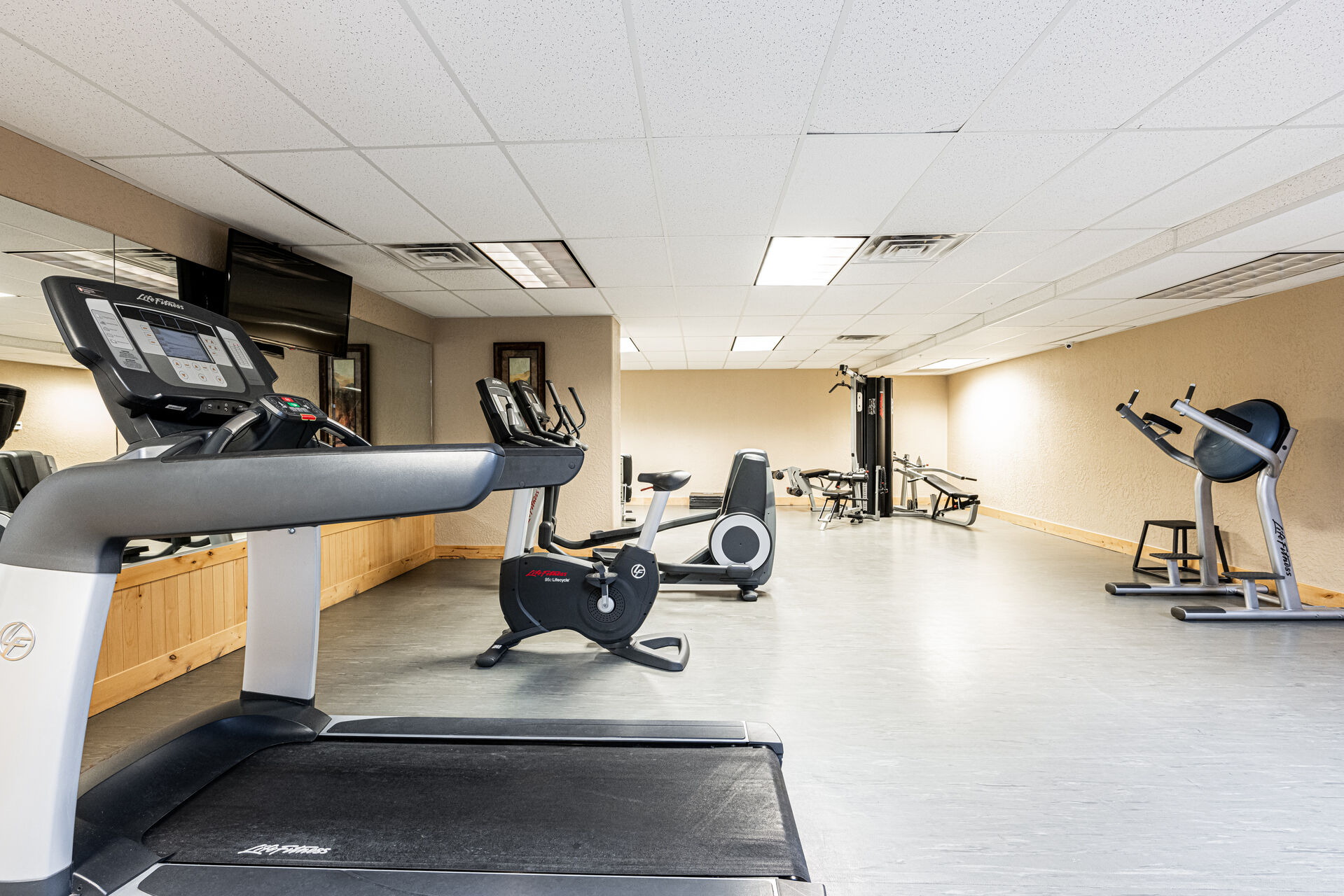 Take advantage of a large variety of fitness equipment