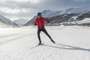 Miles of Nordic Trails