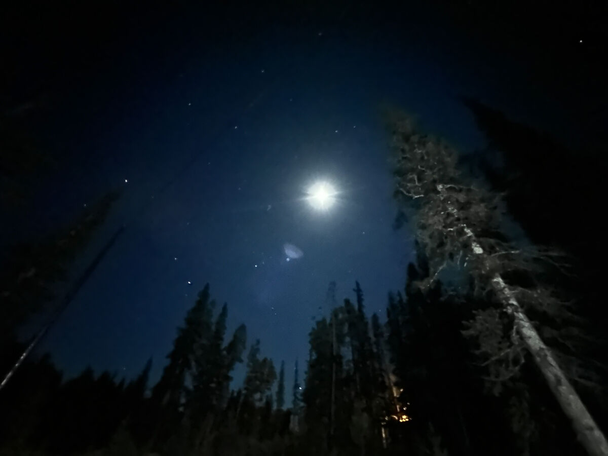This is not your city night time experience, you'll be blown away by the moon and stars