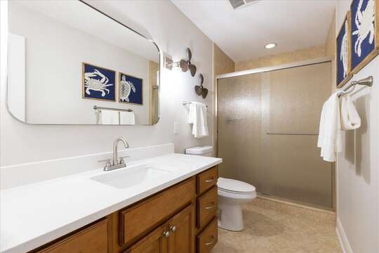 Guest bathroom with stand alone shower