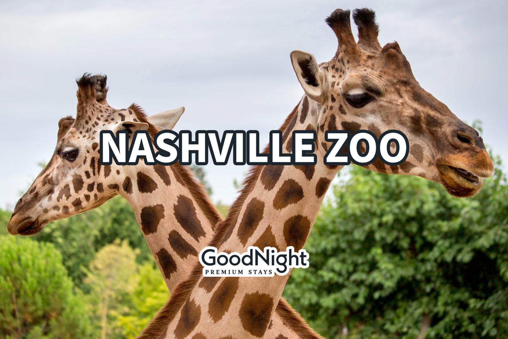 16 mins: Nashville Zoo
