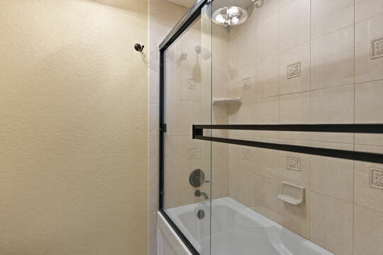 Master Bath with shower tub combo