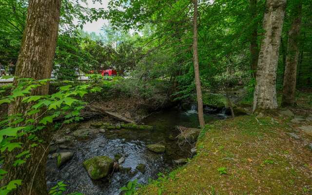 Peaceful creek view surrounded by lush greenery at Scenic Creek cabin.