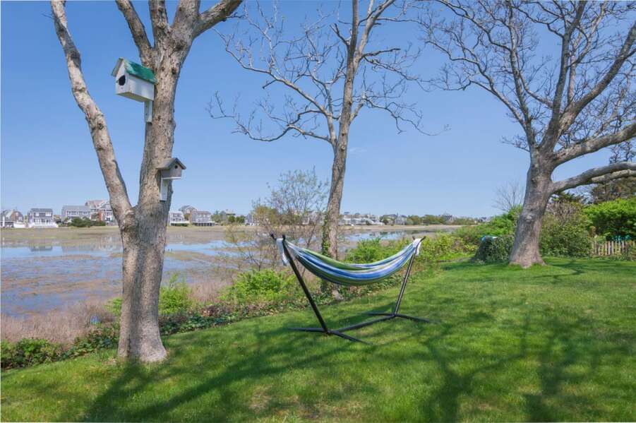 Enjoy the view while laying in the hammock.