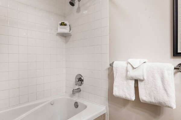 Bathroom with Bathtub/Shower Combo