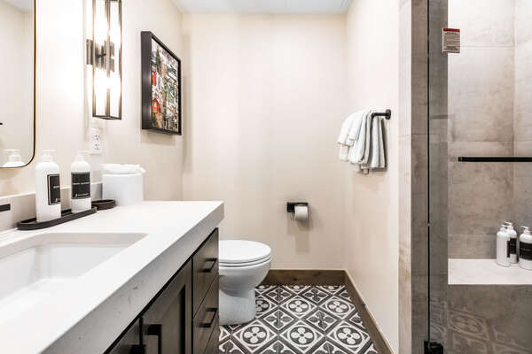 Designer Bathroom with Large Soaking Tub & Walk-In Shower