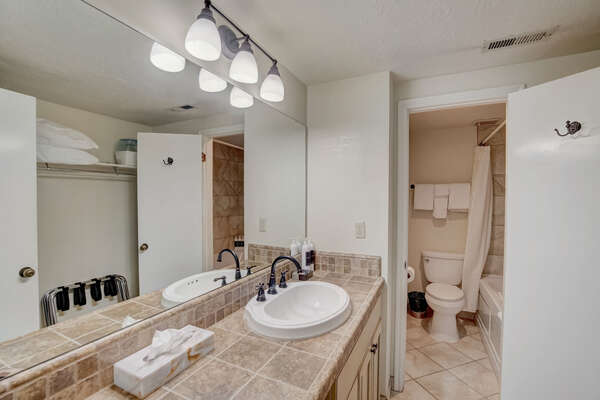 Primary Bathroom with a Jetted Tub/Shower Combo