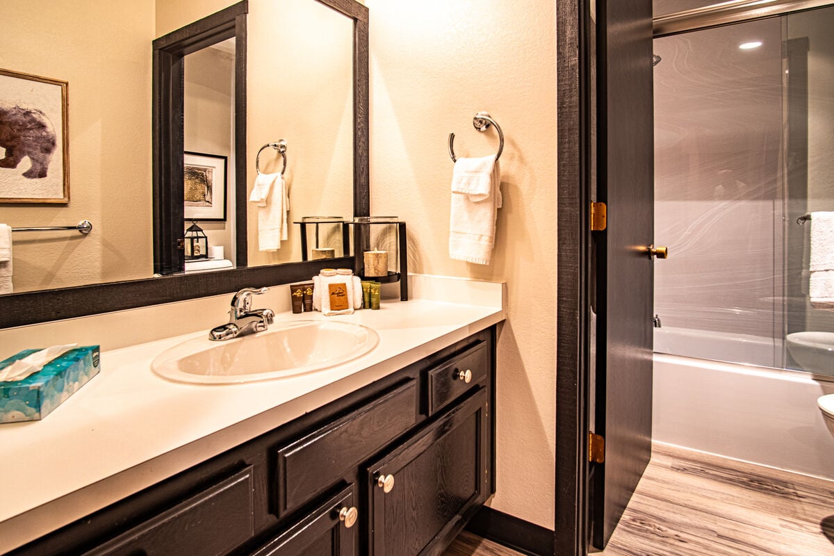 Newly remodeled shared guest bathroom