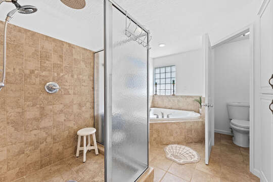 Master bathroom with seperate bathtub and comfortable stand alone shower