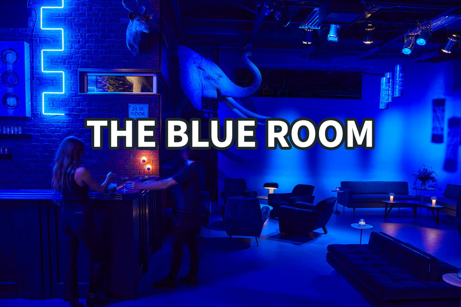 1 min walk: The Blue Room