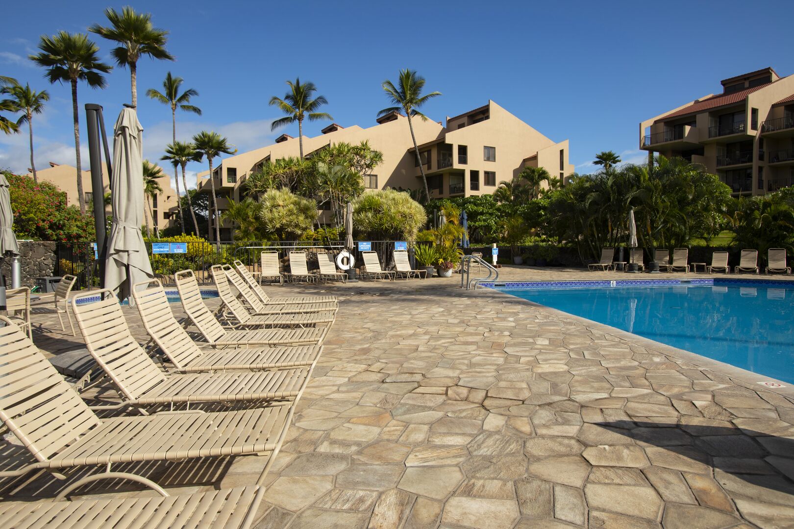 Sun loungers by the swimming pool