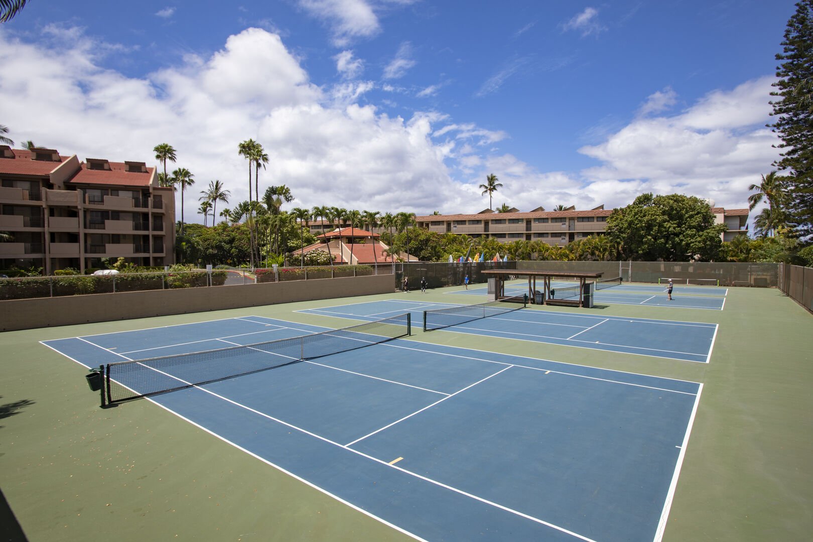 4 Tennis courts
