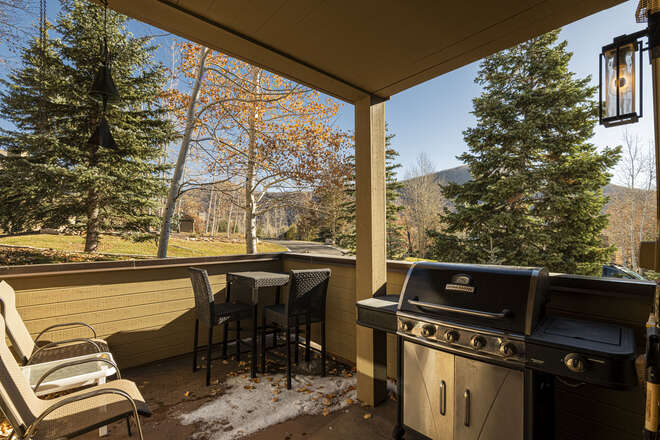 Outdoor Patio with Gas Barbeque