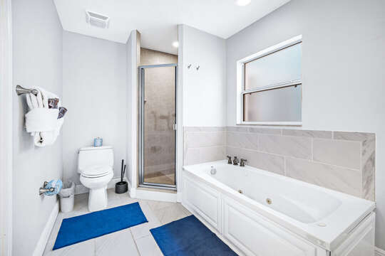 Master Bathroom with walk-in shower and tub.