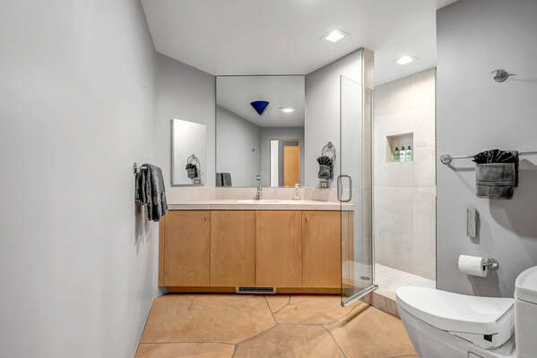Lower Level Full Shared Bathroom with Shower