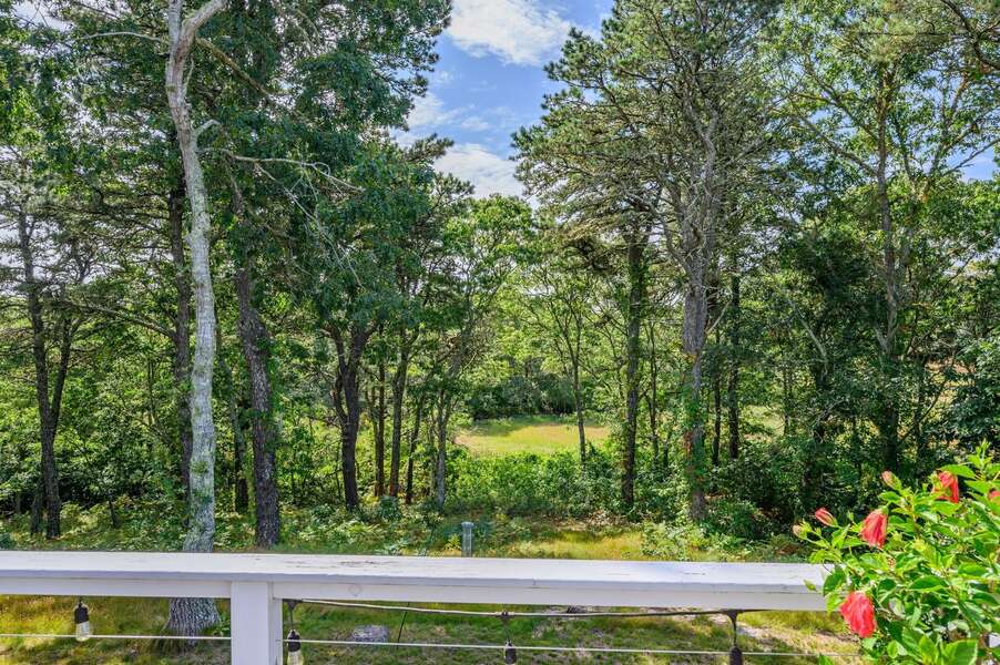Marsh view off of deck at 135 Pine Knoll Avenue Chatham Cape Cod - Sarah-N-Dipity - NEVR