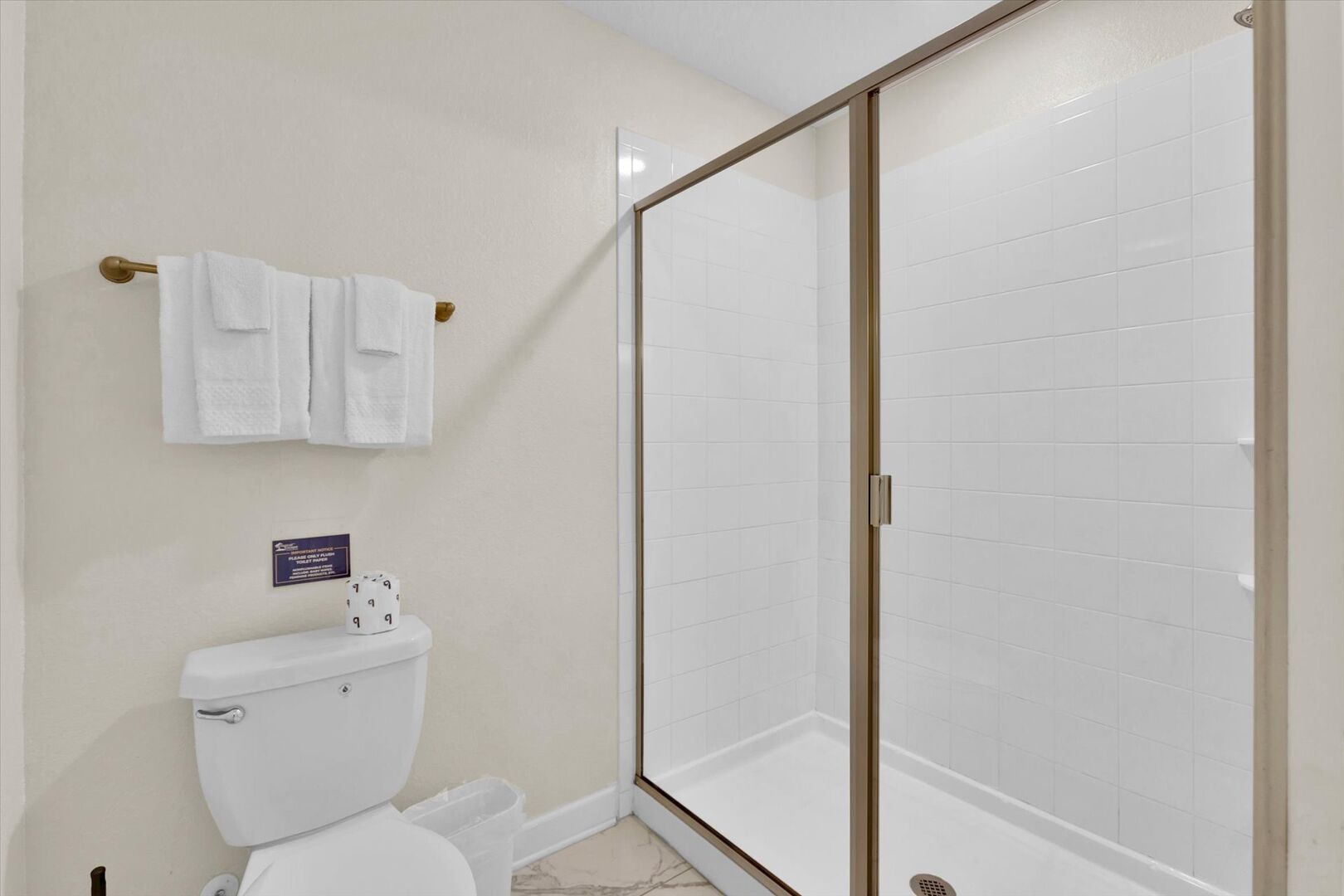 Shared Bathroom 3 (Angle)
Shower