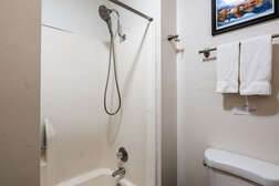 Master En-suite bathroom - Shower and Tub