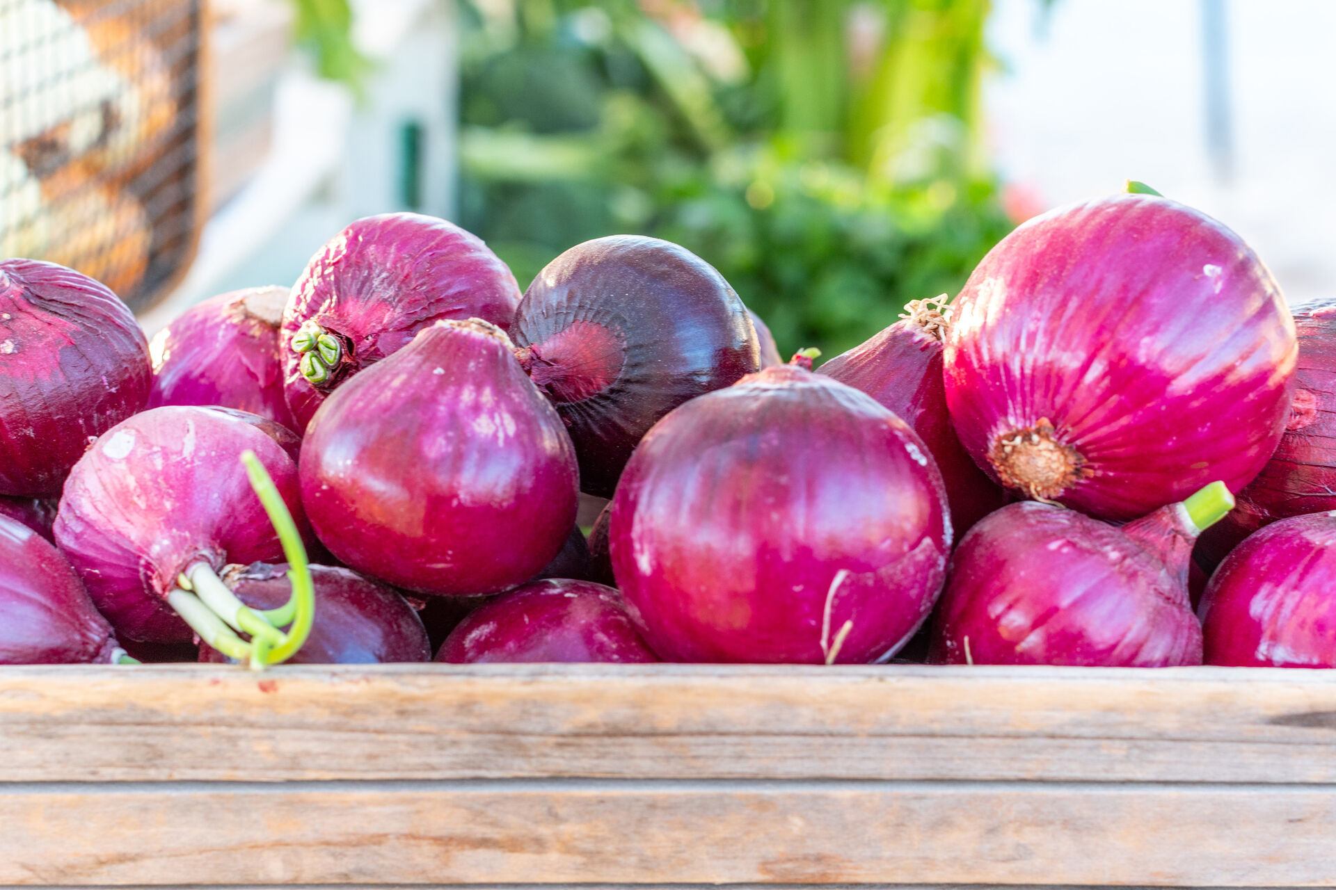 Delicious organic red onions for your guacamole dip?