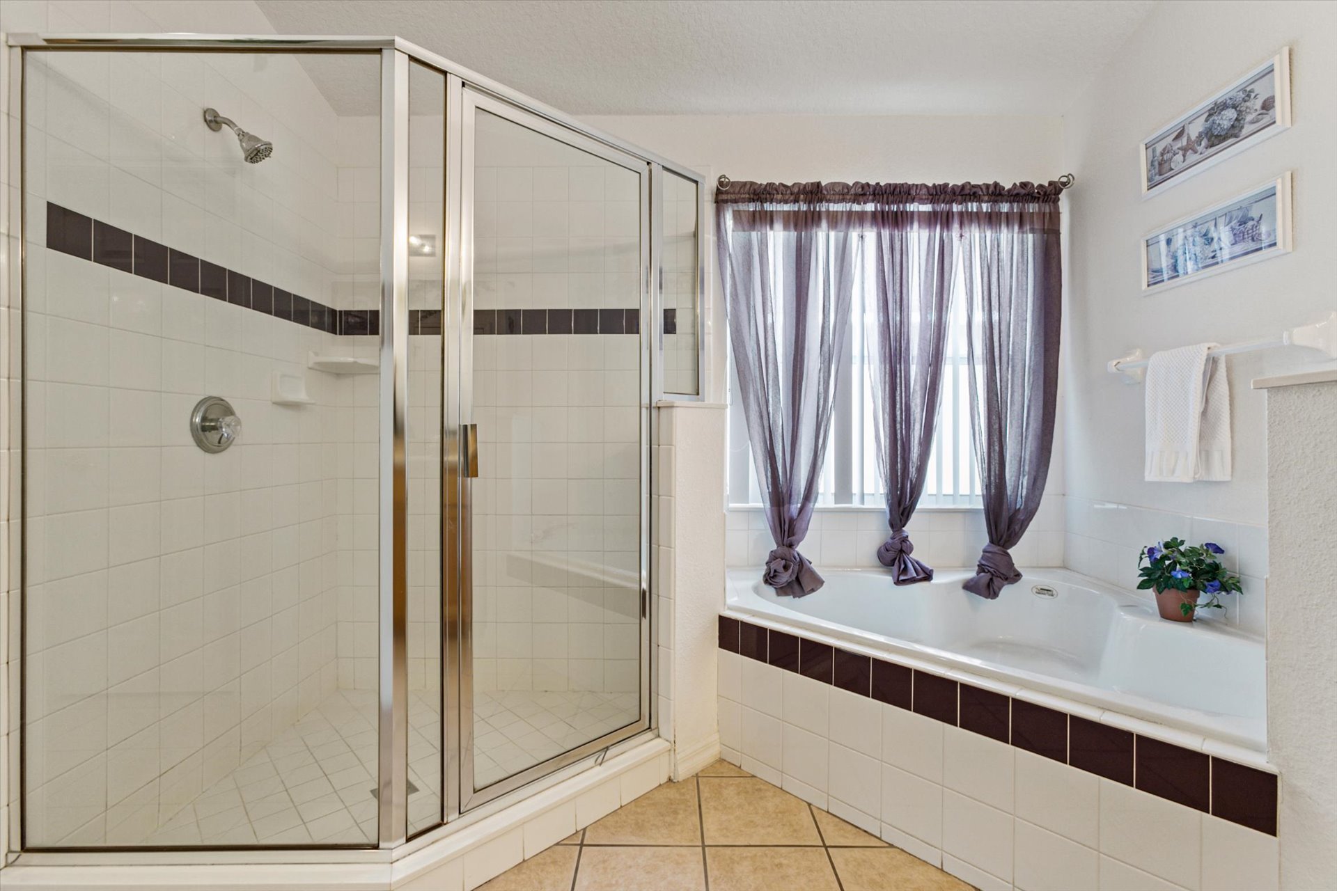 Master King Bathroom 1 (Angle)
Tub and Shower