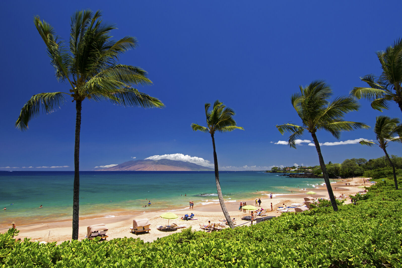 Beautiful Maui Beach!