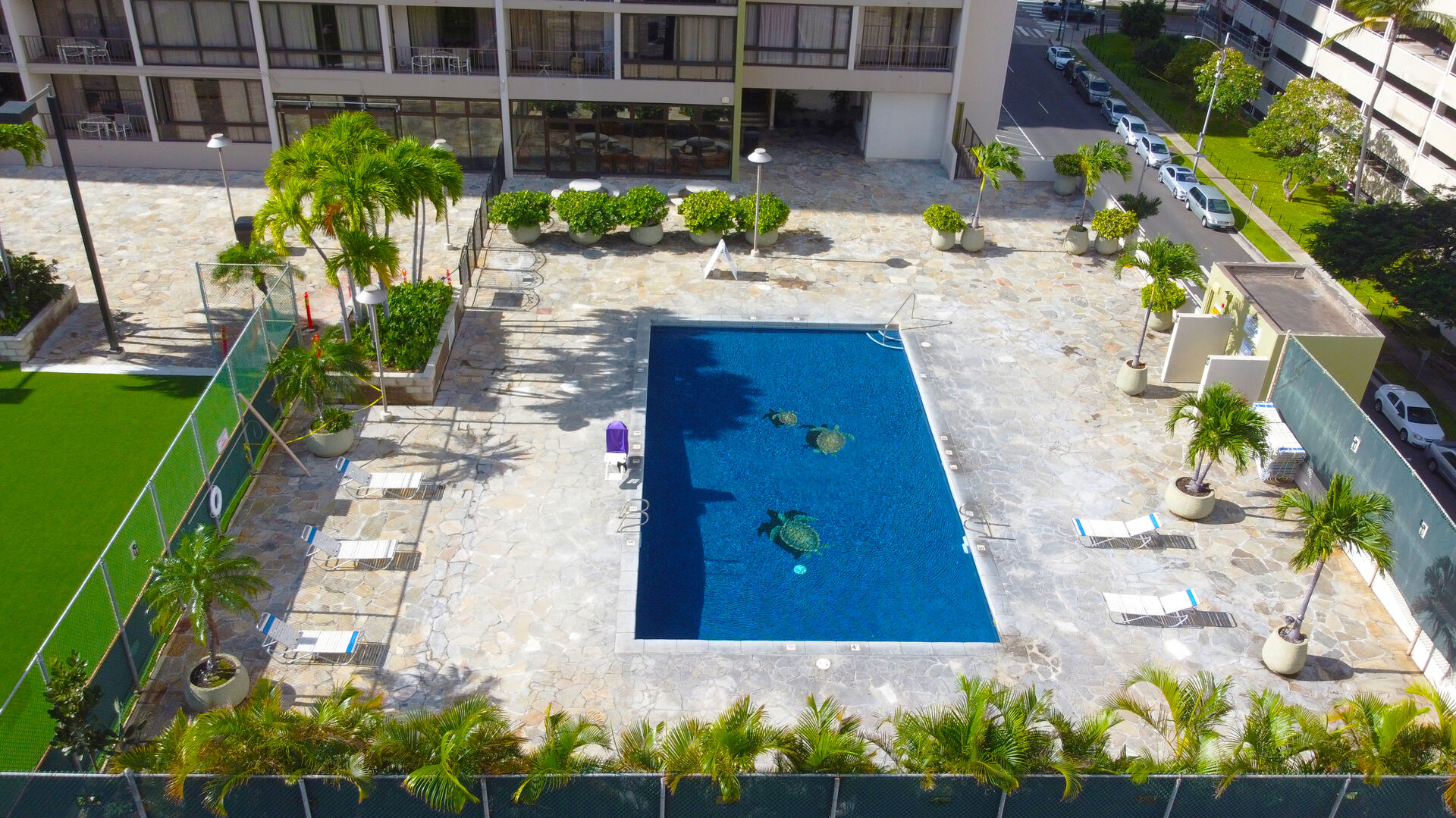 Swimming pool and BBQ area on the Recreation Deck
