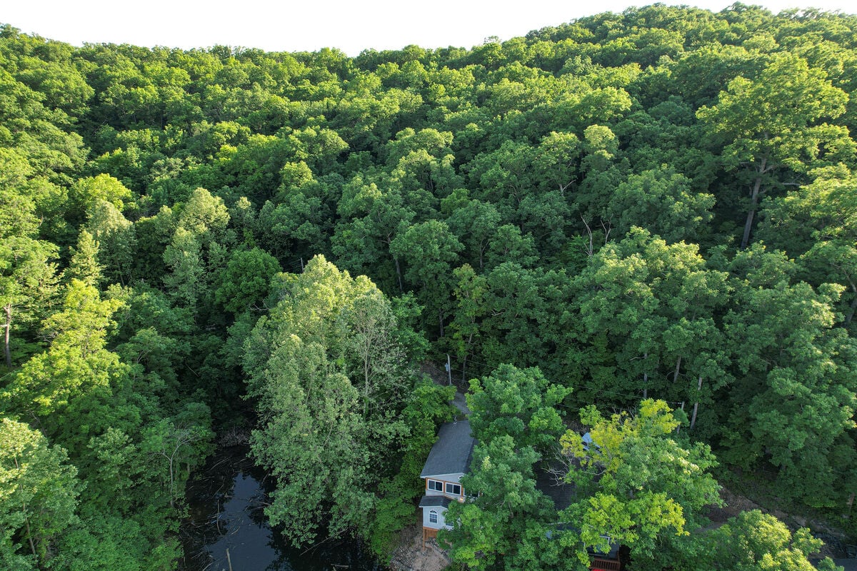 Elevated View of Wooded Area Surrounding Home